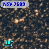 NSV  7609