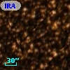 IRAS 16085-5419