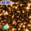 LF 15