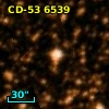 CD-53  6539