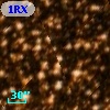 1RXS J161252.2-541610