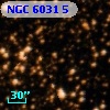 NGC  6031     5