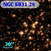 NGC  6031    28