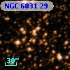 NGC  6031    29