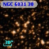 NGC  6031    30