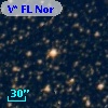 V* FL Nor
