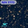 NSV  7773