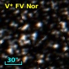 V* FV Nor