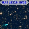 IRAS 16229-5620