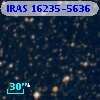 IRAS 16235-5636