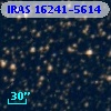 IRAS 16241-5614