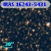 IRAS 16243-5431