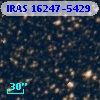 IRAS 16247-5429