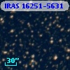 IRAS 16251-5631