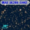 IRAS 16288-5442
