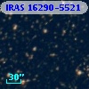 IRAS 16290-5521