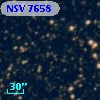 NSV  7658