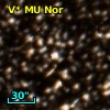 V* MU Nor