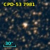 CPD-53  7981