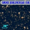 1RXS J162831.6-561532