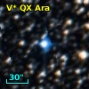 V* QX Ara