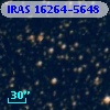 IRAS 16264-5648