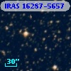 IRAS 16287-5657