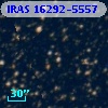 IRAS 16292-5557