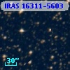 IRAS 16311-5603