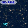 NSV  7886