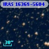 IRAS 16368-5604