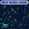 IRAS 16365-5550