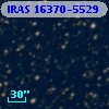 IRAS 16370-5529
