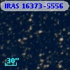 IRAS 16373-5556