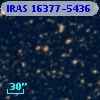 IRAS 16377-5436