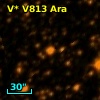 V* V813 Ara