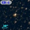 CD-55  7029