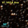 V* V614 Ara