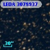 LEDA 3078937