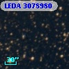 LEDA 3078980
