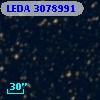 LEDA 3078991