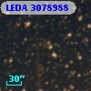 LEDA 3078988