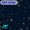 NSV  8341
