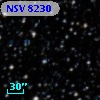 NSV  8230
