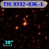 TYC 8732-836-1