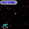 NSV  8900