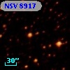 NSV  8917