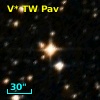 V* TW Pav