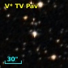 V* TV Pav