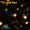 V* AN Pav